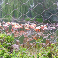 outdoor aviary netting flexible stainless steel wire mesh